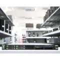Fujitsu Primergy RX200 S8