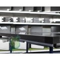Монитор NEC MultiSync P703
