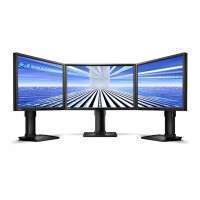 BenQ BL2411PT