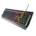 Геймърска клавиатура Genesis Gaming Keyboard Rhod 300 US Layout