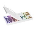 Геймърска клавиатура Genesis Gaming Keyboard Thor 230 TKL US RGB Mechanical Outemu Brown White Hot Swap