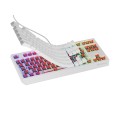 Геймърска клавиатура Genesis Gaming Keyboard Thor 230 TKL US RGB Mechanical Outemu Red White Hot Swap