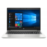 HP ProBook 455 G7 Pike Silver