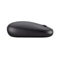 Мишка Acer Wireless Bubble Mouse