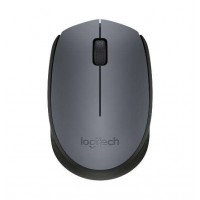 Мишка Logitech Wireless Mouse M170 Grey, Black/Grey