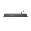 Клавиатура Natec Keyboard Herring Glow US
