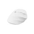 Мишка Natec Vertical Mouse Crake 2 Wireless
