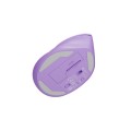 Мишка Natec Vertical Mouse Crake 2 Wireless Мишка Natec Vertical Mouse Crake 2 Wireless