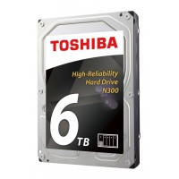 Toshiba N300 NAS - High-Reliability Hard Drive 6TB BULK
