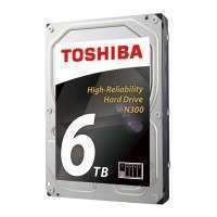 Toshiba N300 NAS - High-Reliability Hard Drive 6TB BULK