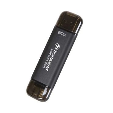 Transcend 256GB